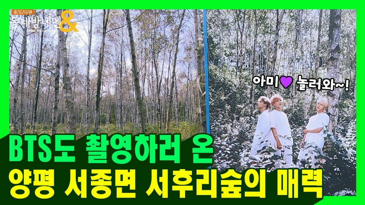 BTS도 반한 양평 서종면의 매력 파헤치기ㅣ동네방네엔 68회